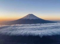 新年の決意